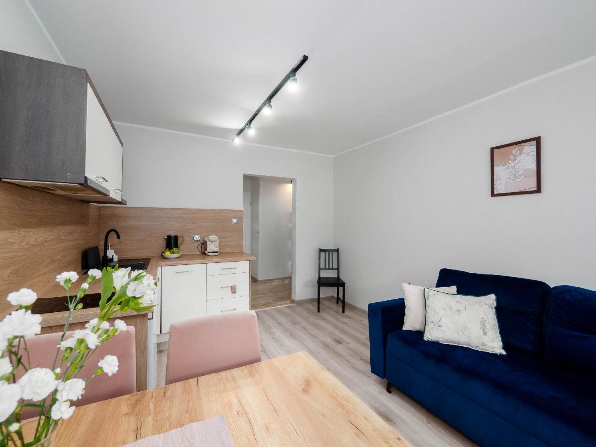 Best Choice 2-Bedroom Apartment Płock Kültér fotó